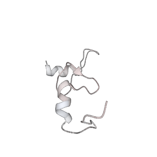 3625_5nd9_n_v1-6
Hibernating ribosome from Staphylococcus aureus (Rotated state)