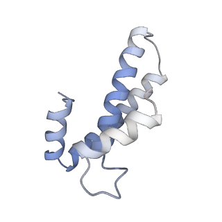 3625_5nd9_o_v1-6
Hibernating ribosome from Staphylococcus aureus (Rotated state)