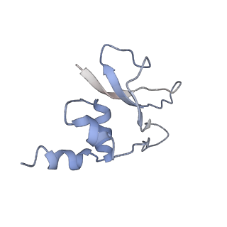 3625_5nd9_p_v1-6
Hibernating ribosome from Staphylococcus aureus (Rotated state)