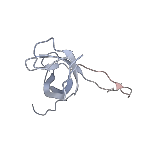 3625_5nd9_q_v1-6
Hibernating ribosome from Staphylococcus aureus (Rotated state)