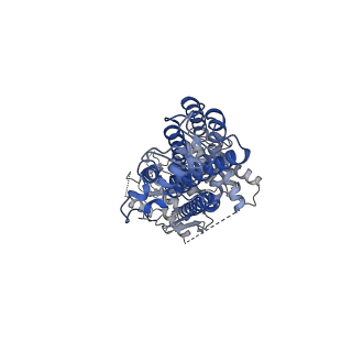 12295_7nez_A_v1-1
Structure of topotecan-bound ABCG2