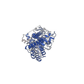 12295_7nez_B_v1-1
Structure of topotecan-bound ABCG2