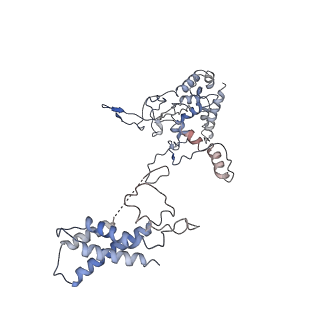 9191_6ne0_A_v1-6
Structure of double-stranded target DNA engaged Csy complex from Pseudomonas aeruginosa (PA-14)