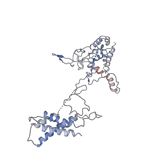 9191_6ne0_A_v1-7
Structure of double-stranded target DNA engaged Csy complex from Pseudomonas aeruginosa (PA-14)