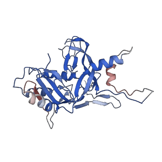 9191_6ne0_B_v1-6
Structure of double-stranded target DNA engaged Csy complex from Pseudomonas aeruginosa (PA-14)