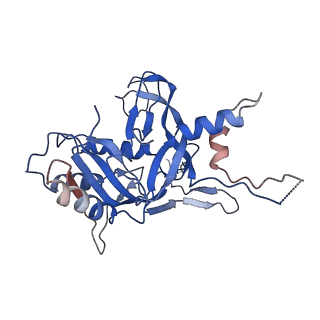 9191_6ne0_B_v1-7
Structure of double-stranded target DNA engaged Csy complex from Pseudomonas aeruginosa (PA-14)