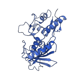 9191_6ne0_C_v1-7
Structure of double-stranded target DNA engaged Csy complex from Pseudomonas aeruginosa (PA-14)