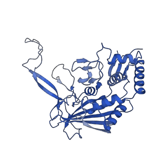 9191_6ne0_D_v1-7
Structure of double-stranded target DNA engaged Csy complex from Pseudomonas aeruginosa (PA-14)