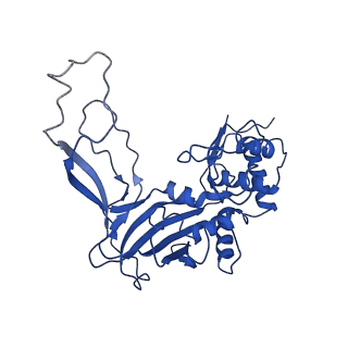 9191_6ne0_E_v1-6
Structure of double-stranded target DNA engaged Csy complex from Pseudomonas aeruginosa (PA-14)