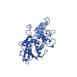 9191_6ne0_F_v1-6
Structure of double-stranded target DNA engaged Csy complex from Pseudomonas aeruginosa (PA-14)
