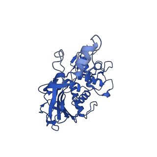 9191_6ne0_F_v1-7
Structure of double-stranded target DNA engaged Csy complex from Pseudomonas aeruginosa (PA-14)