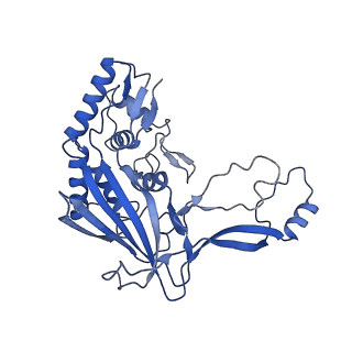 9191_6ne0_H_v1-6
Structure of double-stranded target DNA engaged Csy complex from Pseudomonas aeruginosa (PA-14)