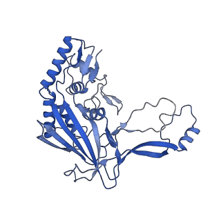 9191_6ne0_H_v1-7
Structure of double-stranded target DNA engaged Csy complex from Pseudomonas aeruginosa (PA-14)