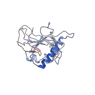 9191_6ne0_L_v1-6
Structure of double-stranded target DNA engaged Csy complex from Pseudomonas aeruginosa (PA-14)