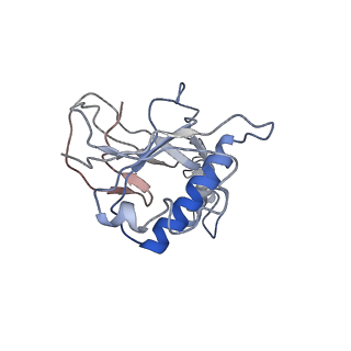 9191_6ne0_L_v1-7
Structure of double-stranded target DNA engaged Csy complex from Pseudomonas aeruginosa (PA-14)