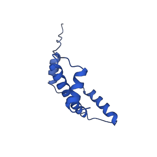 9356_6ne3_A_v1-1
Cryo-EM structure of singly-bound SNF2h-nucleosome complex with SNF2h bound at SHL-2