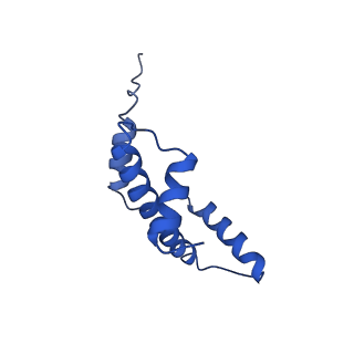 9356_6ne3_A_v1-2
Cryo-EM structure of singly-bound SNF2h-nucleosome complex with SNF2h bound at SHL-2