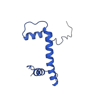 9356_6ne3_B_v1-2
Cryo-EM structure of singly-bound SNF2h-nucleosome complex with SNF2h bound at SHL-2