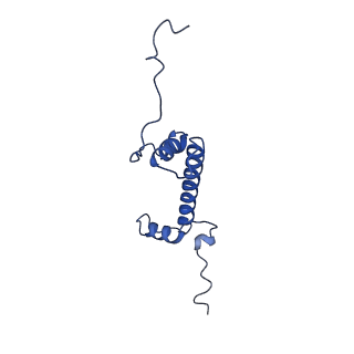 9356_6ne3_C_v1-1
Cryo-EM structure of singly-bound SNF2h-nucleosome complex with SNF2h bound at SHL-2