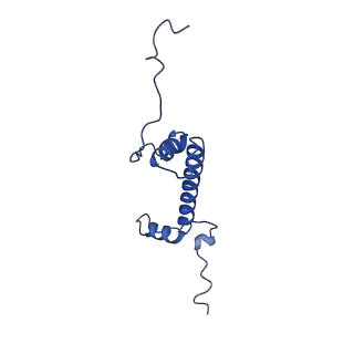 9356_6ne3_C_v1-2
Cryo-EM structure of singly-bound SNF2h-nucleosome complex with SNF2h bound at SHL-2