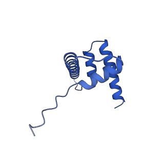 9356_6ne3_D_v1-1
Cryo-EM structure of singly-bound SNF2h-nucleosome complex with SNF2h bound at SHL-2
