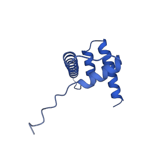 9356_6ne3_D_v1-2
Cryo-EM structure of singly-bound SNF2h-nucleosome complex with SNF2h bound at SHL-2