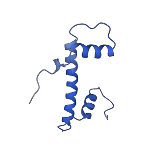 9356_6ne3_F_v1-2
Cryo-EM structure of singly-bound SNF2h-nucleosome complex with SNF2h bound at SHL-2