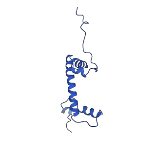 9356_6ne3_G_v1-1
Cryo-EM structure of singly-bound SNF2h-nucleosome complex with SNF2h bound at SHL-2