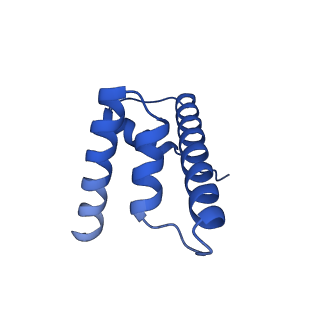 9356_6ne3_H_v1-2
Cryo-EM structure of singly-bound SNF2h-nucleosome complex with SNF2h bound at SHL-2