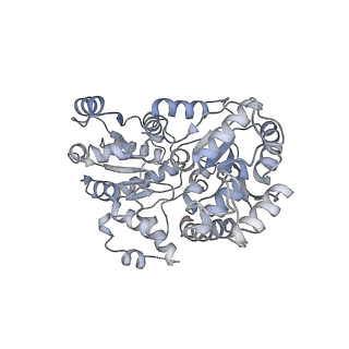 9356_6ne3_W_v1-1
Cryo-EM structure of singly-bound SNF2h-nucleosome complex with SNF2h bound at SHL-2
