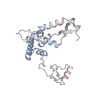 9358_6neq_G_v1-1
Structure of human mitochondrial translation initiation factor 3 bound to the small ribosomal subunit-Class-II