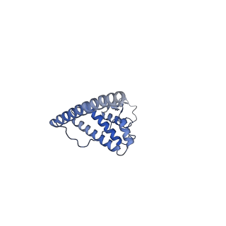 9358_6neq_O_v1-1
Structure of human mitochondrial translation initiation factor 3 bound to the small ribosomal subunit-Class-II