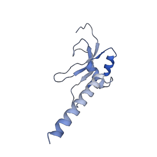 9358_6neq_P_v1-1
Structure of human mitochondrial translation initiation factor 3 bound to the small ribosomal subunit-Class-II
