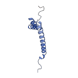 9358_6neq_U_v1-1
Structure of human mitochondrial translation initiation factor 3 bound to the small ribosomal subunit-Class-II