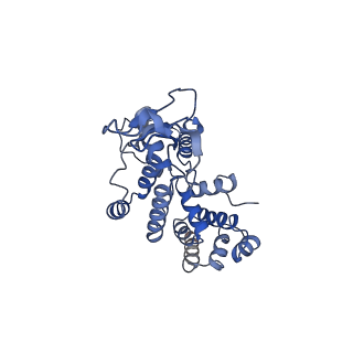 9358_6neq_a_v1-1
Structure of human mitochondrial translation initiation factor 3 bound to the small ribosomal subunit-Class-II