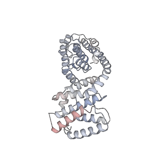 9358_6neq_e_v1-1
Structure of human mitochondrial translation initiation factor 3 bound to the small ribosomal subunit-Class-II