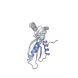 9358_6neq_z_v1-1
Structure of human mitochondrial translation initiation factor 3 bound to the small ribosomal subunit-Class-II