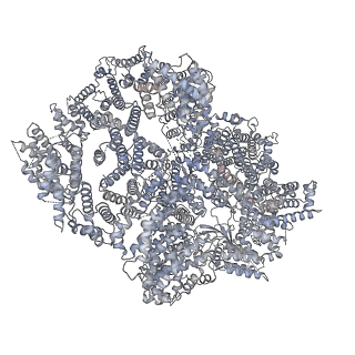 12299_7nfc_F_v1-1
Cryo-EM structure of NHEJ super-complex (dimer)