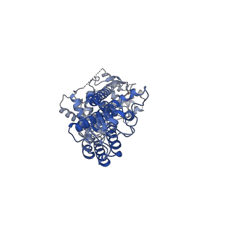 12300_7nfd_A_v1-1
Structure of mitoxantrone-bound ABCG2