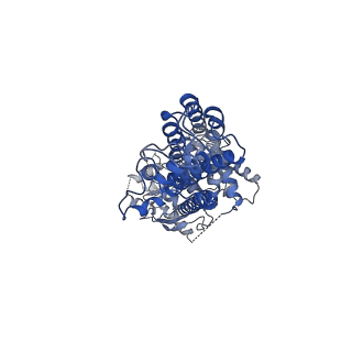 12300_7nfd_B_v1-1
Structure of mitoxantrone-bound ABCG2