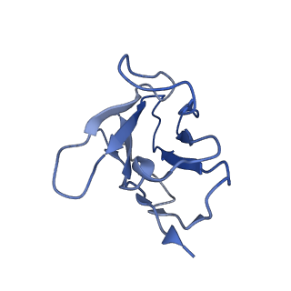 12300_7nfd_C_v1-1
Structure of mitoxantrone-bound ABCG2