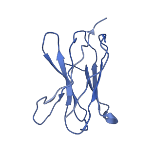 12300_7nfd_F_v1-1
Structure of mitoxantrone-bound ABCG2