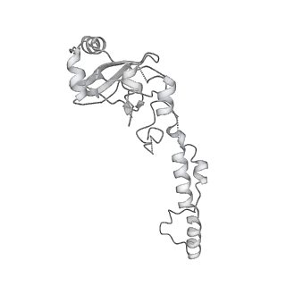 12301_7nfe_G_v1-1
Cryo-EM structure of NHEJ super-complex (monomer)