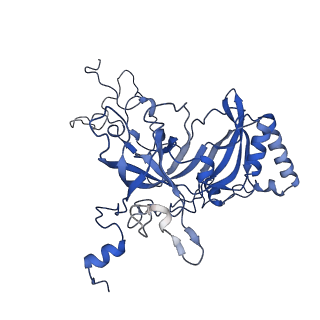 12303_7nfx_B_v1-0
Mammalian ribosome nascent chain complex with SRP and SRP receptor in early state A
