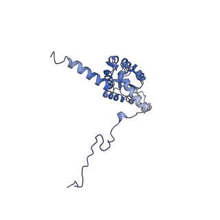 12303_7nfx_G_v1-0
Mammalian ribosome nascent chain complex with SRP and SRP receptor in early state A
