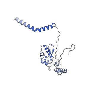 12303_7nfx_L_v1-0
Mammalian ribosome nascent chain complex with SRP and SRP receptor in early state A
