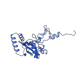 12303_7nfx_N_v1-0
Mammalian ribosome nascent chain complex with SRP and SRP receptor in early state A