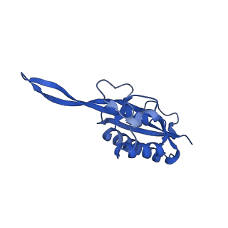 12303_7nfx_P_v1-0
Mammalian ribosome nascent chain complex with SRP and SRP receptor in early state A