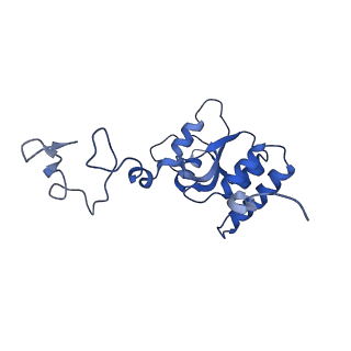 12303_7nfx_Q_v1-0
Mammalian ribosome nascent chain complex with SRP and SRP receptor in early state A