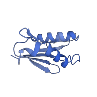 12303_7nfx_U_v1-0
Mammalian ribosome nascent chain complex with SRP and SRP receptor in early state A